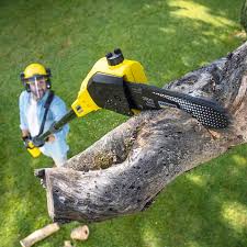 Best Tree and Shrub Care  in Owensville, MO